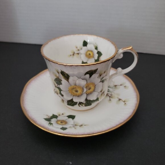 ROYAL WINCHESTER Other - VTG 1975 Queen's Fine Bone China Floral Tea Cup & Saucer By Rosina China